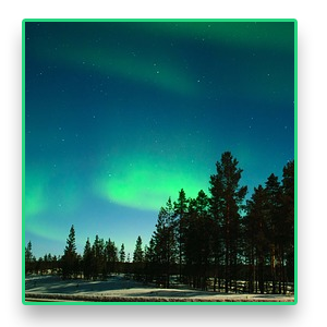 Finnland, polarlichter, wald, natur